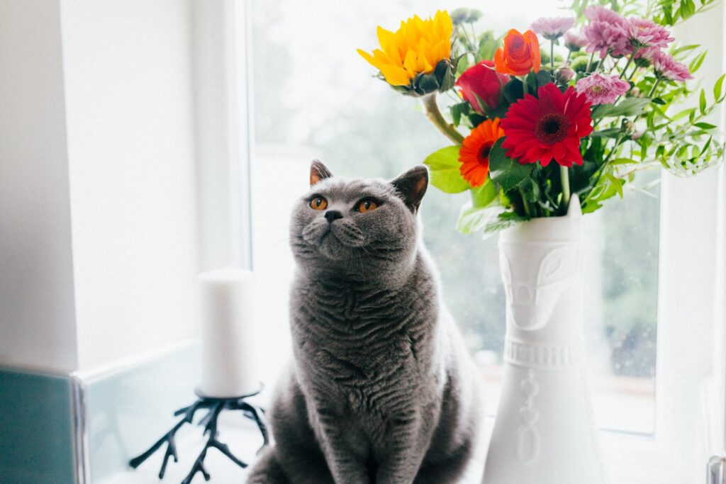 kot stojący w pobliżu ceramicznej wazy ze sztucznymi kwiatami