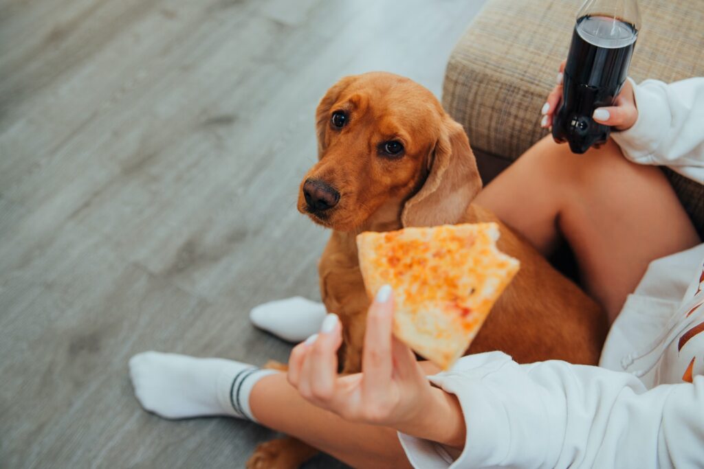  kobieta jedząca pizzę siedzącą z psem